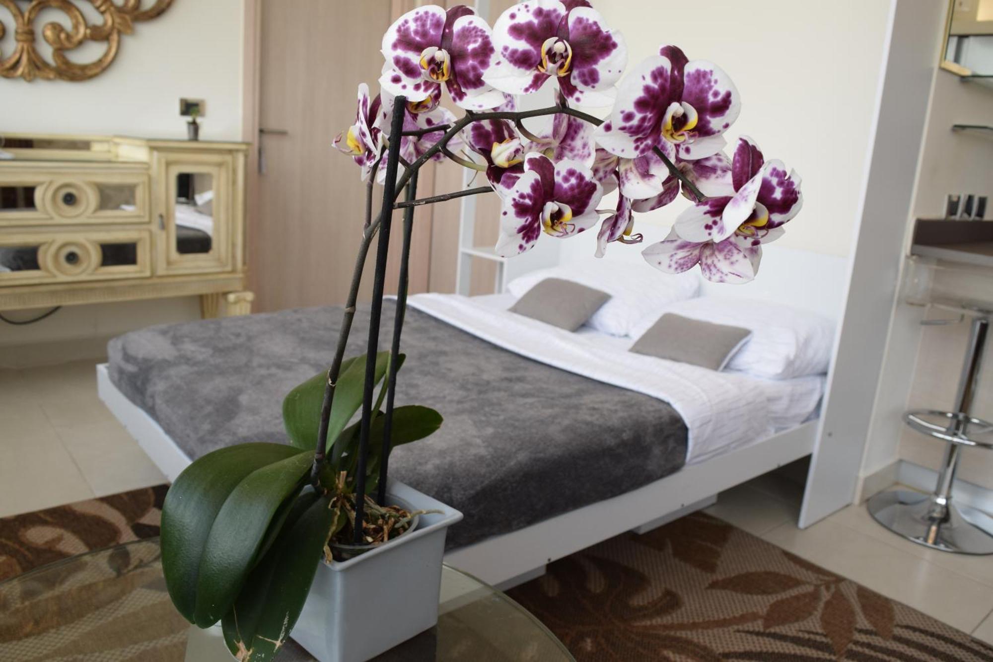 Apartamento Centro De Convenciones Citibanamex Y Polanco *